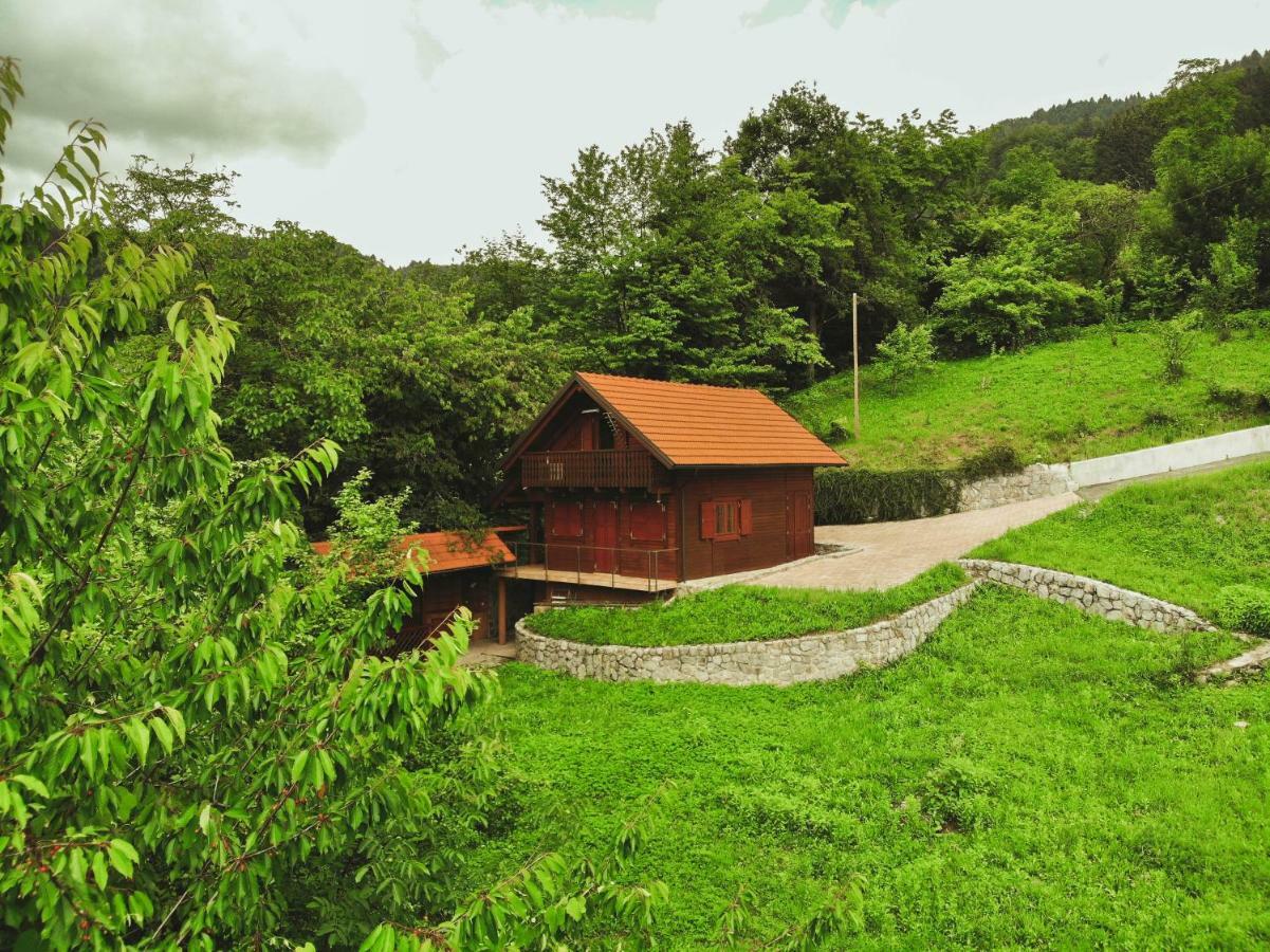 Lazec Country House Villa Pluznje Kültér fotó