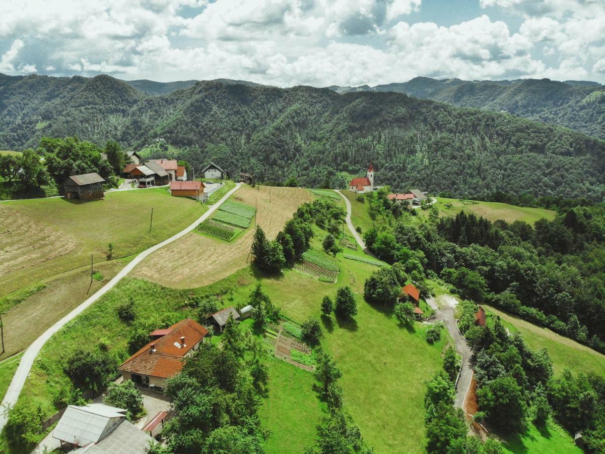 Lazec Country House Villa Pluznje Kültér fotó
